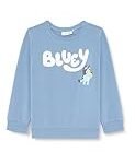 Análisis y comparativa: Sudadera de Bluey en el mundo del manga